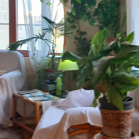 Oda ve Kahvaltı Ta' Didi