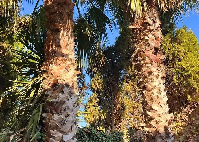 Couette-café Ta' Didi Kerċem