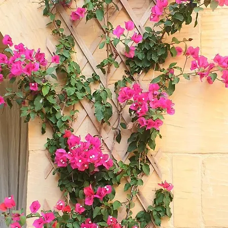 Ta' Didi Bed and Breakfast 4*