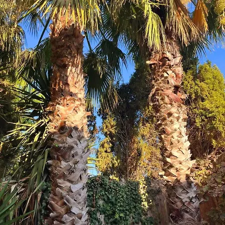 B&B Ta' Didi Kerċem